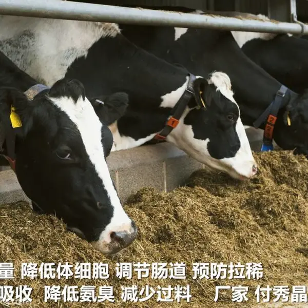 降低奶牛体细胞产品 不含任何违禁成分-微尔生物