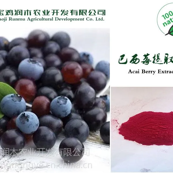 宝鸡润木 巴西莓提取物 阿萨伊粉 4:1