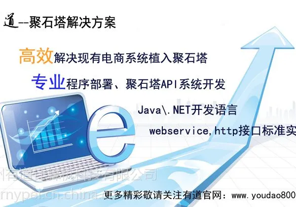 聚石塔 解决方案 淘宝API系统开发 Java/.Net技术方案