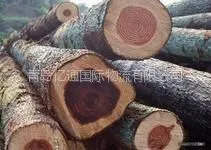 ��ӦʳƷ���ڱ�ǩ��������/�ൺ����ľ����ع�˾