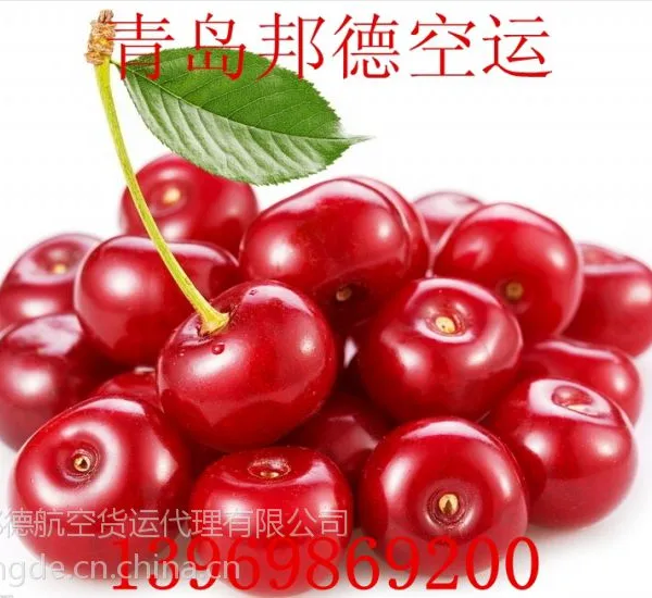 供应青岛到成都、重庆、长沙、昆明、广州、汕头、深圳水果空运当天到