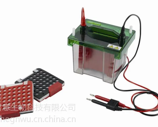 北京君意 电泳仪 JY-ZY5型转移电泳槽