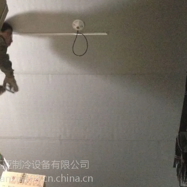 滨州20立方医药冷库建设 医药试剂冷库免费设计 滨州冷藏保鲜冷库安装