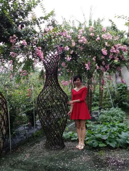 ��ޱ����***����ޱ��ƿ***