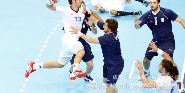 成都多功能运动地板 TARAFLEX运动竞技9.0洁福PVC地面材料