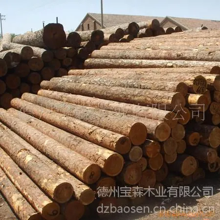 大量供应落叶松 进口落叶松|花旗松|矿用坑木|樟子松|云杉|铁杉各种规格民用板材可定制 可议价