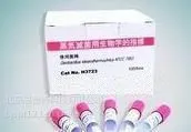 思普特 压力蒸汽灭菌生物指示剂(105) 型号:SKYK-H3723