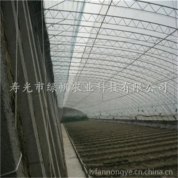 供应全钢架冬暖式日光温室 无立柱温室大棚 寿光市蔬菜大棚