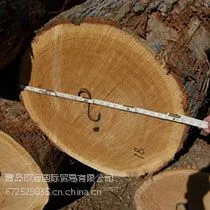 北美进口原木