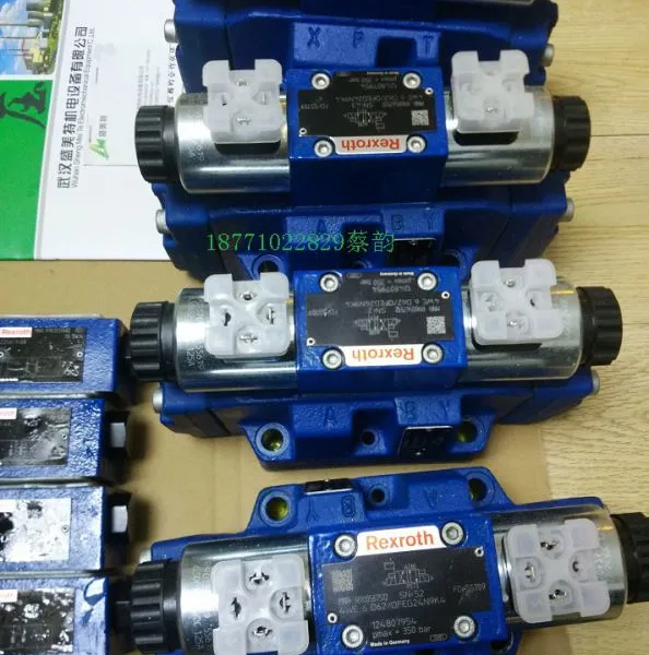 DBW10A2-4X/315 6E G24N9K4-IN003