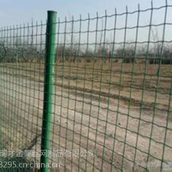 供应赤峰场地围栏用普通荷兰网多少钱一卷
