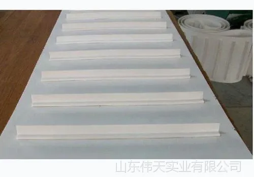 供应 专用食品输送带,膨化食品机械裙边挡板带,流水线输送带