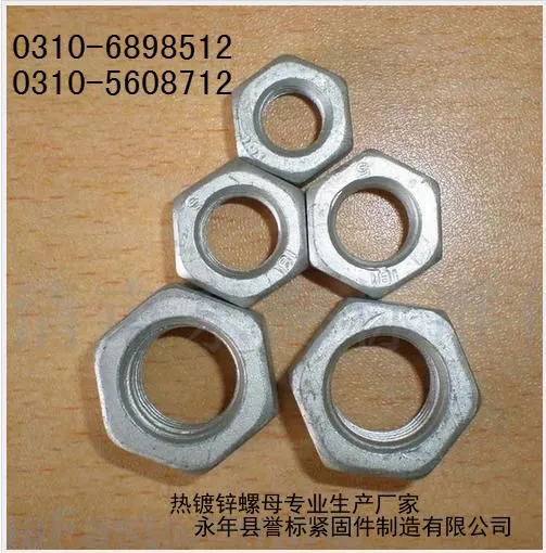 石标牌热镀锌螺母大批量现货供应