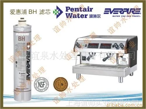 爱惠浦净水器 BH2滤芯 爱惠浦净水器