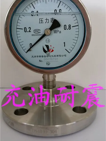 ����������Ĥѹ����DN40������Ĥѹ����YTNP100MF�����Ĥ��
