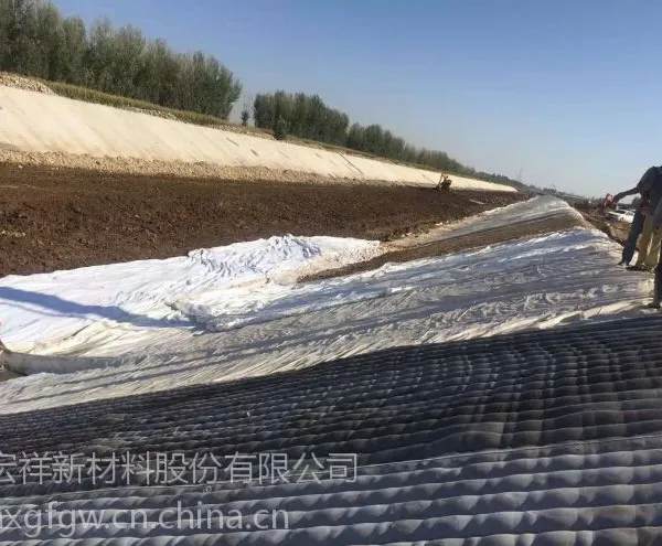 ������̺Ӧ���ٺӵ�ˮ����������