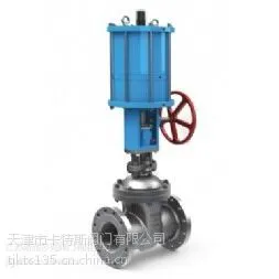 ����˹����Z641W-25P����������բ��