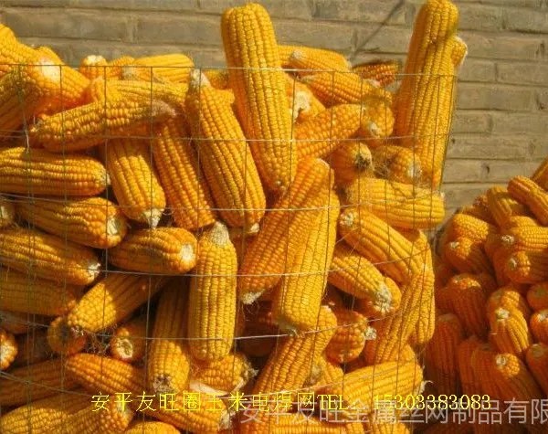 安平友旺电焊网厂家热销圈玉米电焊网、粮仓网