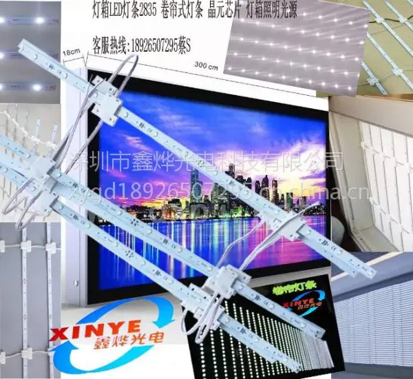 鑫烨厂家直供12V 卷帘灯2835LED 拉布灯箱灯条 背光源 大型广告灯箱灯条