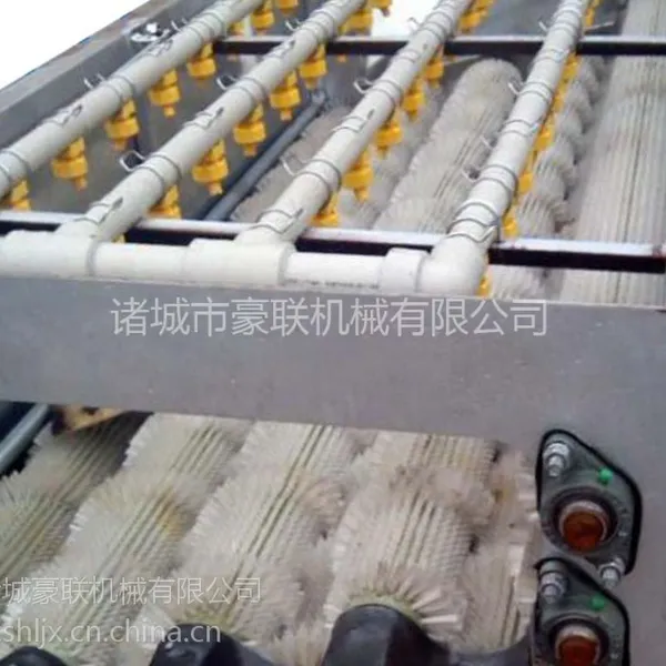 豪联牌HLXM-1000多功能猪蹄毛刷清洗机