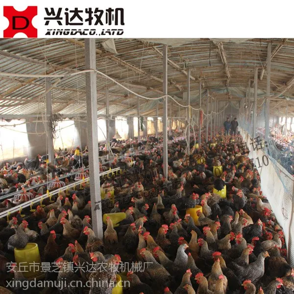 潍坊麻鸡自动加料机 土鸡自动加料机 平养肉鸡自动加料机