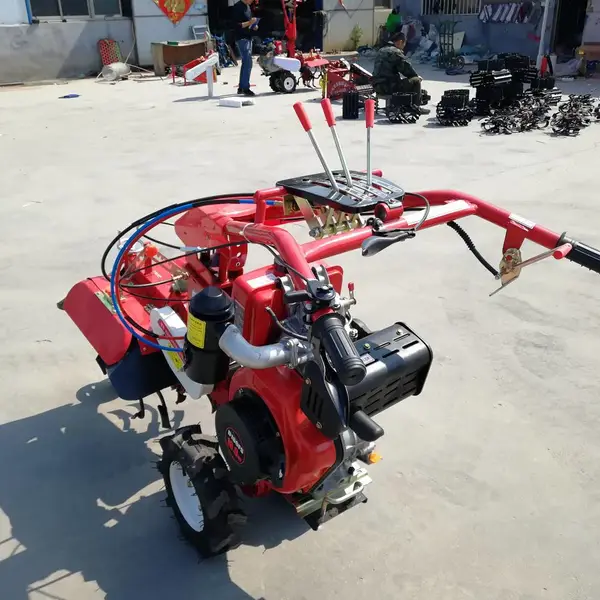 �๦�ܲ�ݮ��¢�� ������¢���۸� �����е