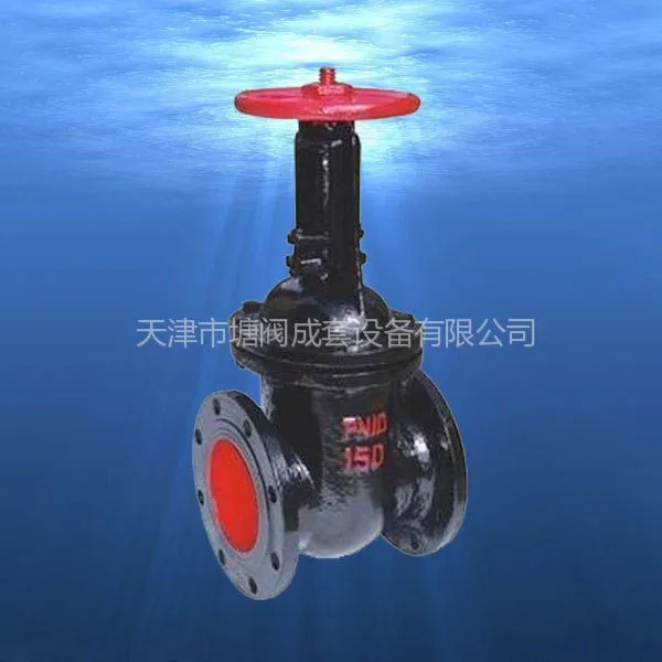 ��ӦTVT  DN50  Z41T-10  ����բ��