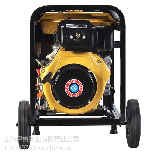 YT6800EW-便携式柴油发电焊机