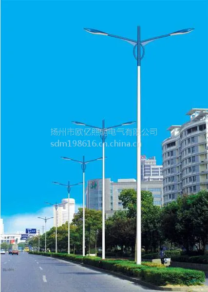 厂家供应云南省保山市市政道路路灯/品种全/样式多/款式新颖