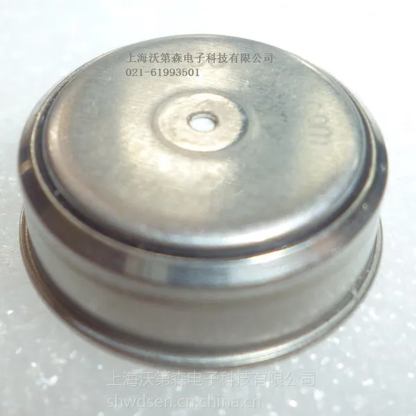 供应温湿度记录仪DS1923-F5# MAXIM