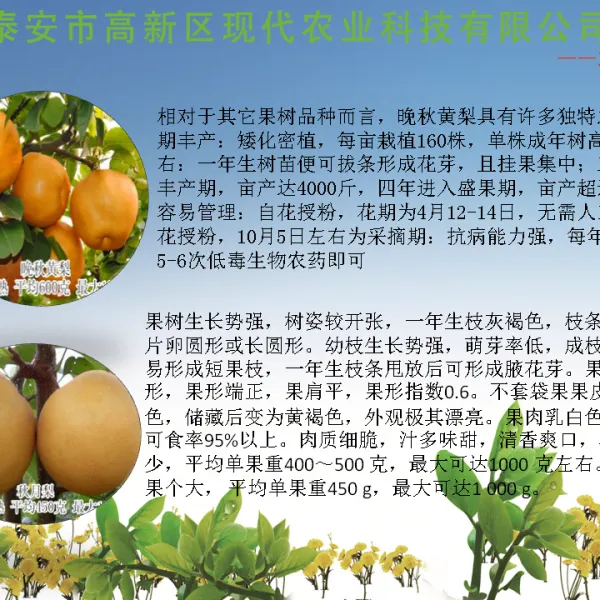 ������������ ������������� ���������翹���溦 ������ �ڸк� �۸��Ż�