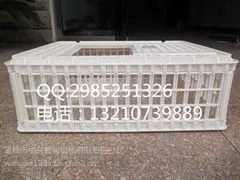 商品鸡周转筐 运输鸡笼尺寸图片供应鸡用运输笼鸡周转笼