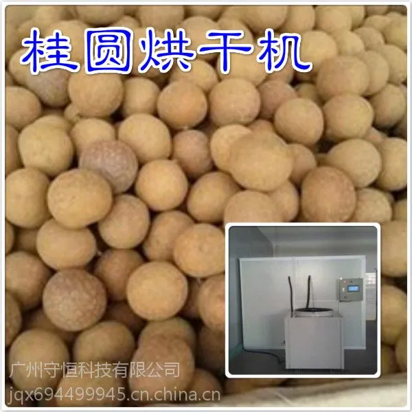 供应守恒节能桂圆烘干机 龙眼干燥箱 桂圆干烘箱
