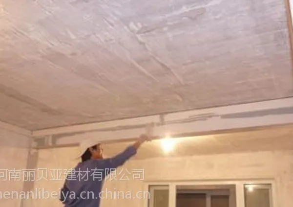 郑州建材丽贝亚25kg防水腻子 耐水腻子