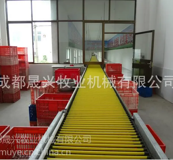 【晟兴牧业】蛋鸡设备—中央集蛋系统