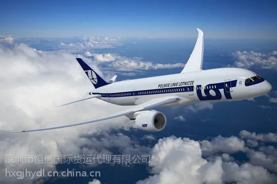 国际空运进出口,深圳广州香港等各大机场起飞。为客户提供快捷高效门到门的服务