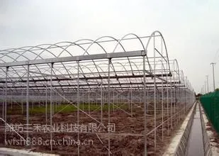 潍坊三禾农业--连栋薄膜温室大棚建造价格