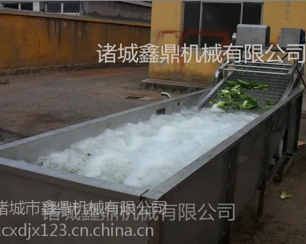 菠菜清洗机 全国销量已达10万多台
