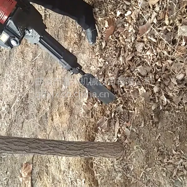 ԰�ֹ��������� ��������ʽ������ ֲ����ӻ�