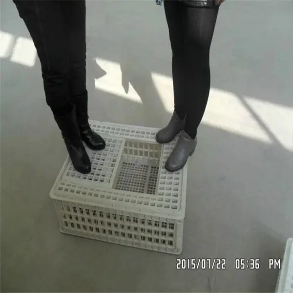 塑料鸡笼 运输鸭笼 山东鸡鸭鹅运输筐