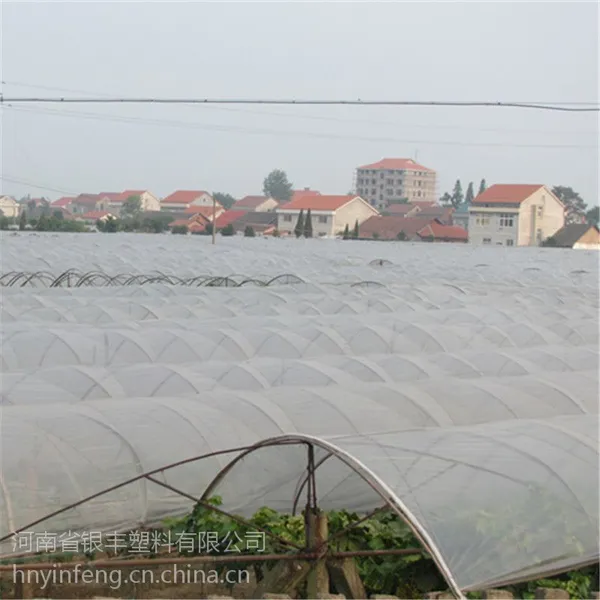 厂家供应优质塑料大棚膜 塑料纸 地膜 黑白膜 除草地膜