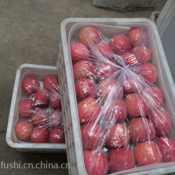 烟台苹果烟台红富士批发零售经销