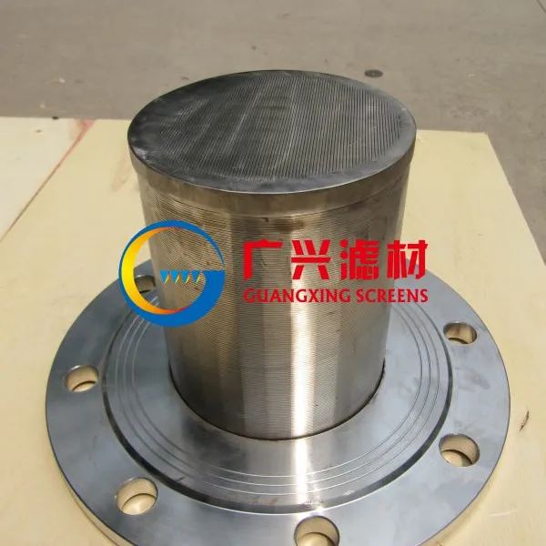 衡水广兴滤材树脂捕捉器 不锈钢绕丝捕追器滤芯光滑无棱 不漏树脂