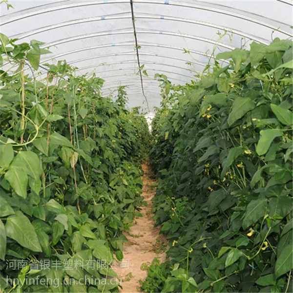 供应河南银丰塑料有限公司华丰牌大棚膜 塑料薄膜农用大棚膜