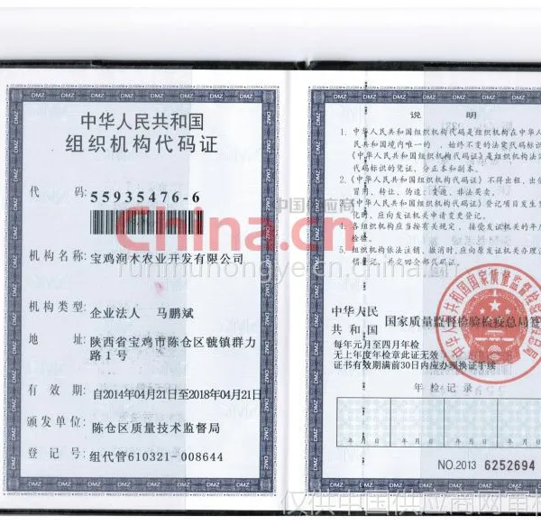 中华人民共和国组织机构代码证
