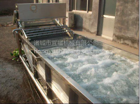 供应宜福达YF-26A型蔬果气泡清洗机、净菜加工生产线