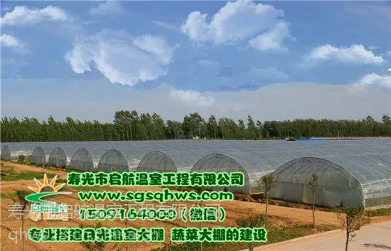 大棚建设 有立柱蔬菜拱棚 寿光市启航温室