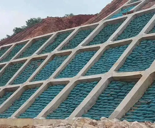 ��Ӧ��������̬�� ��·������̬�������Ի��³�˿��̬��_��̬����·����