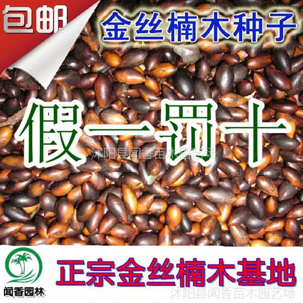 ��Ӧ��˿�ľ���� �����Ĵ����� ��ͥ԰��������ֲҶϸ��СҶ��骻���ֱ�� ��һ��ʮ