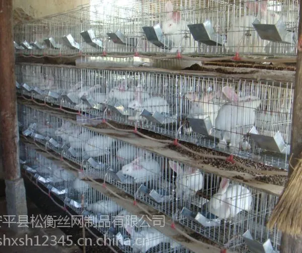 兔笼,河北兔笼厂,母兔笼规格,獭兔笼厂家,安平县兔笼厂家电话,子母兔笼